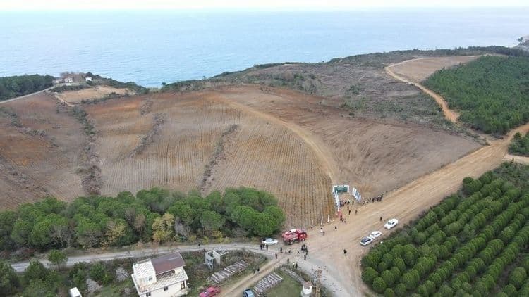 Boğaziçi Üniversitesi'ni Kazanan Tüm Öğrenciler İçin Fidan Dikimi